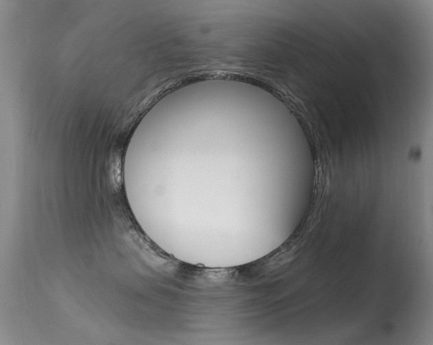 X0000113530479200909181004