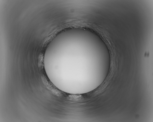 X0000113530480200909181004