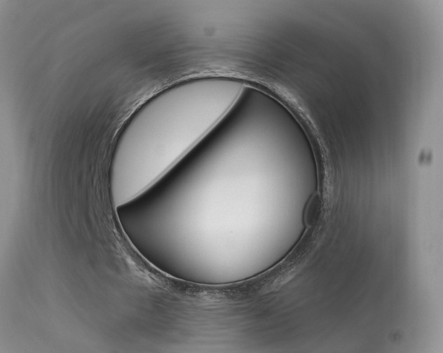 X0000113530481200909181004