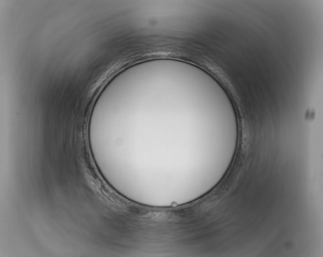 X0000113530482200909181004