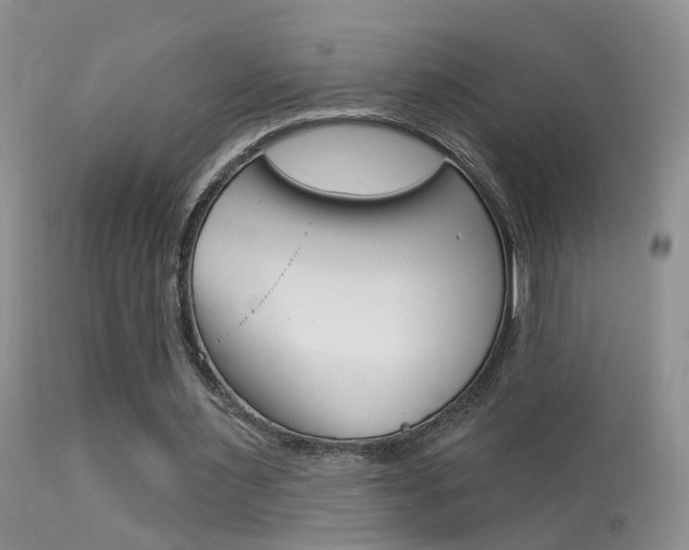 X0000113530483200909181004