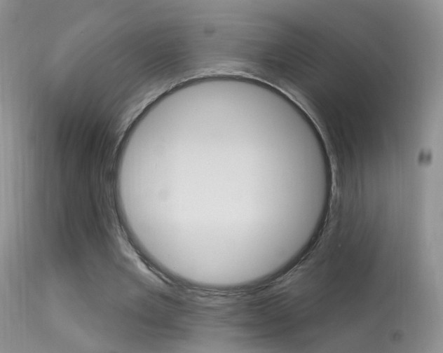 X0000113530485200909181004
