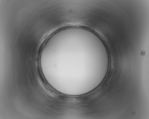 X0000113530486200909181004