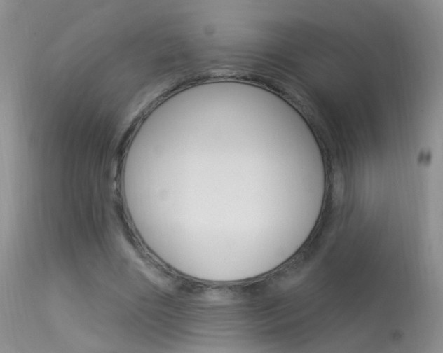 X0000113530490200909181004