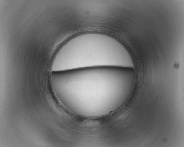 X0000113530491200909181003