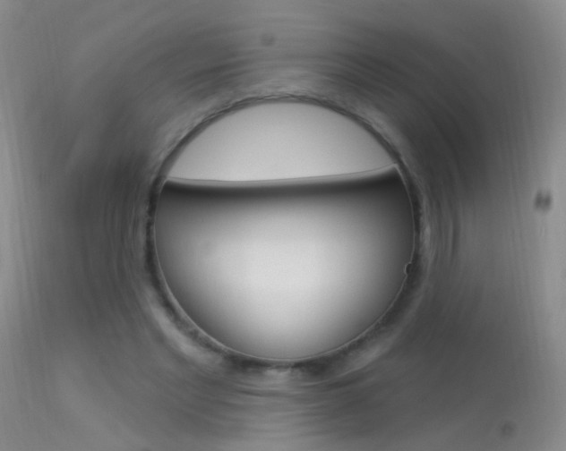 X0000113530493200909181003