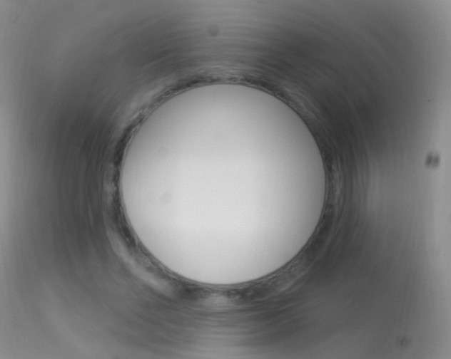 X0000113530494200909181003