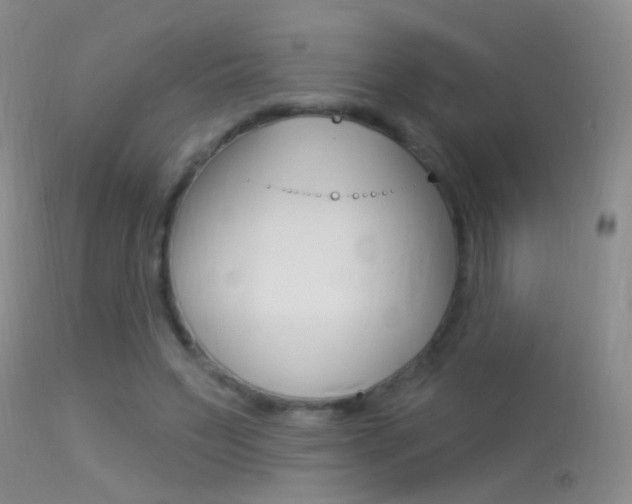 X0000113530495200909181003