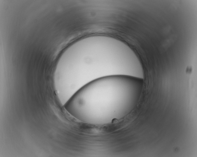 X0000113530496200909181003