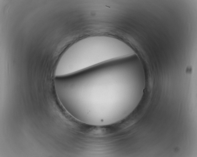 X0000113530497200909181003
