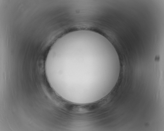 X0000113530498200909181003