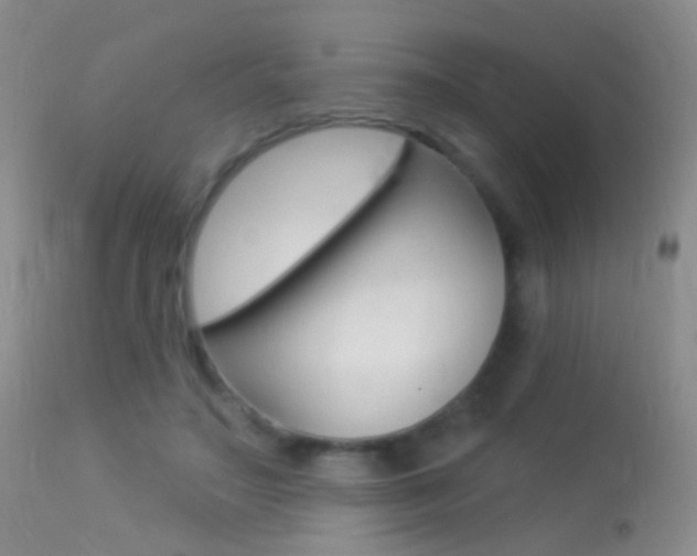 X0000113530499200909181003