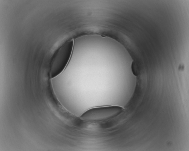 X0000113530500200909181003