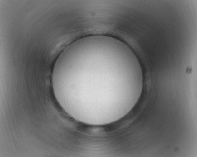 X0000113530501200909181003
