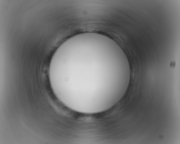 X0000113530503200909181003