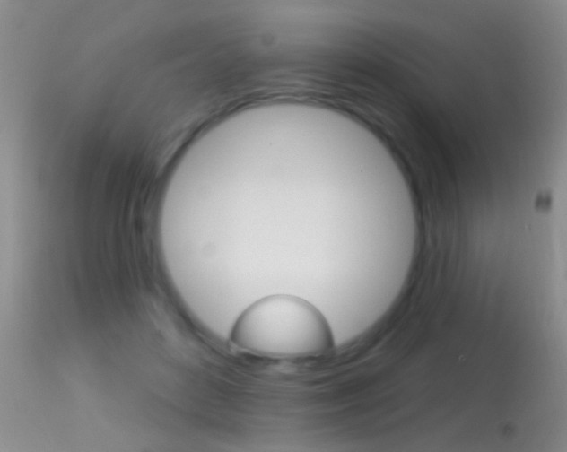X0000113530504200909181003