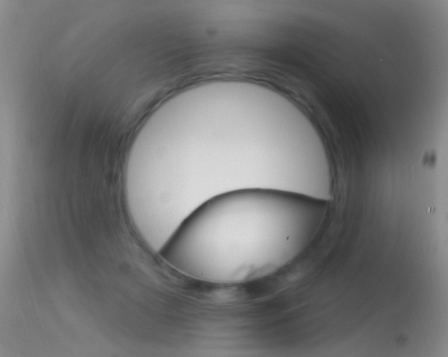 X0000113530505200909181003
