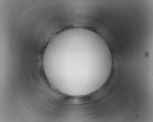 X0000113530506200909181003