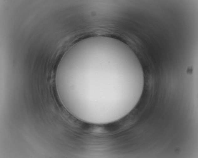 X0000113530507200909181003