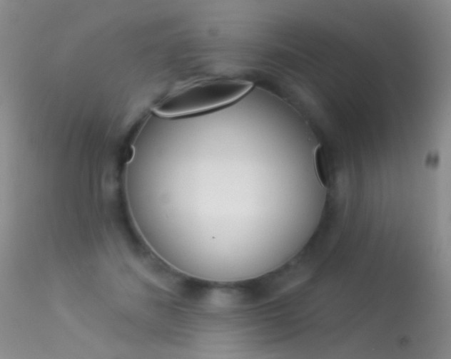 X0000113530508200909181003