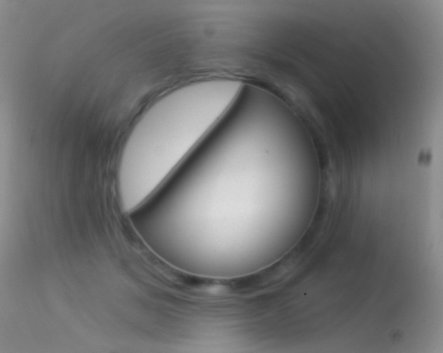 X0000113530509200909181003