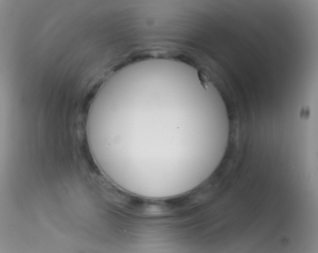 X0000113530510200909181003