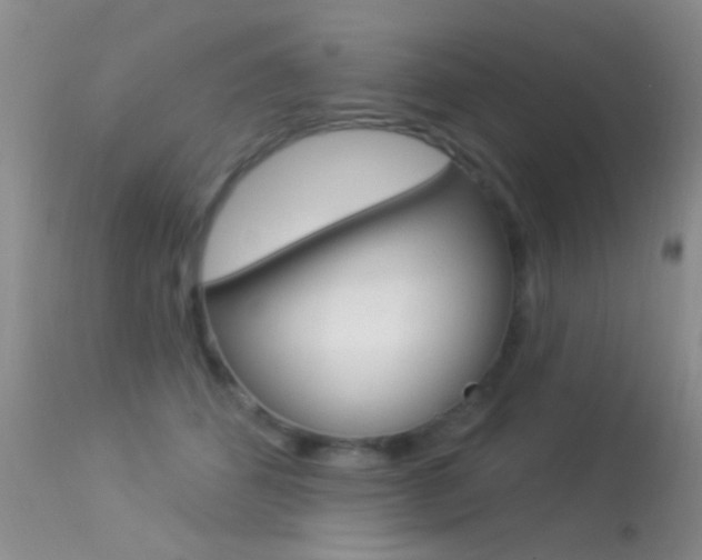 X0000113530512200909181003