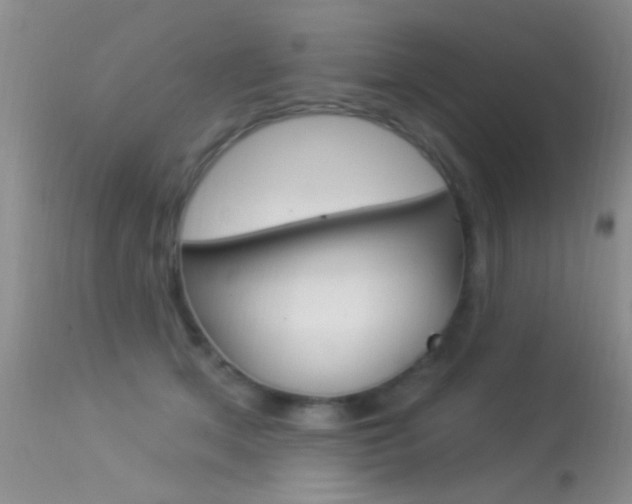 X0000113530513200909181003