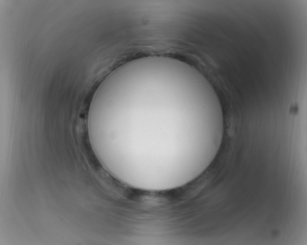 X0000113530515200909181003