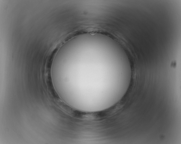 X0000113530516200909181003