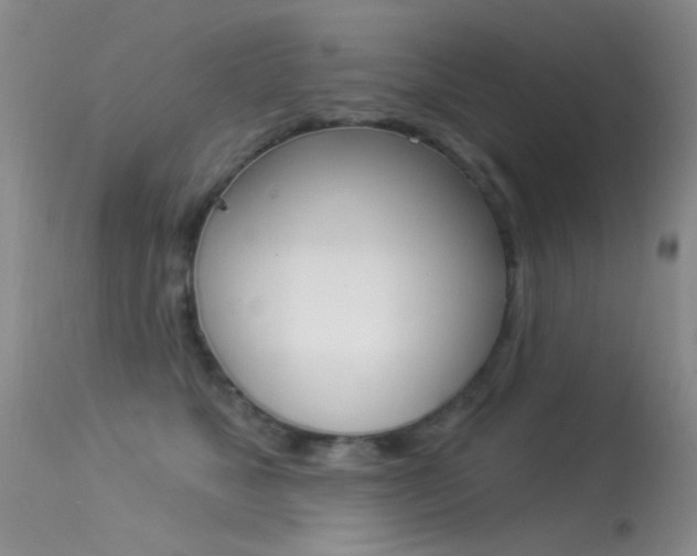 X0000113530517200909181003
