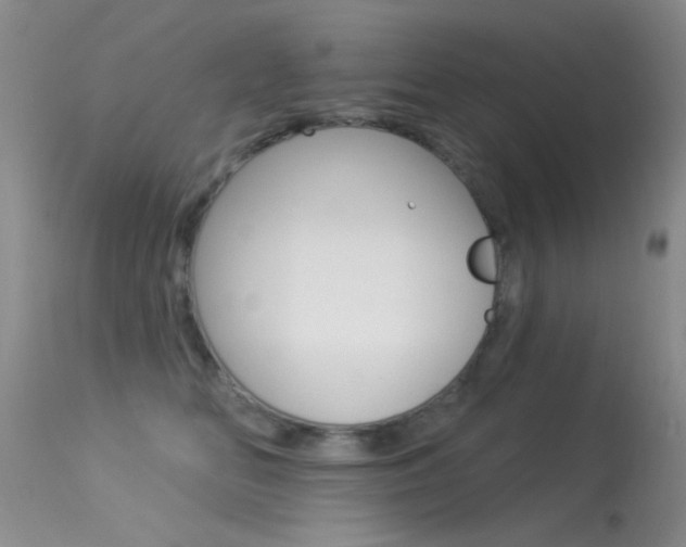 X0000113530518200909181003