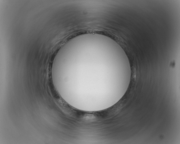 X0000113530519200909181003