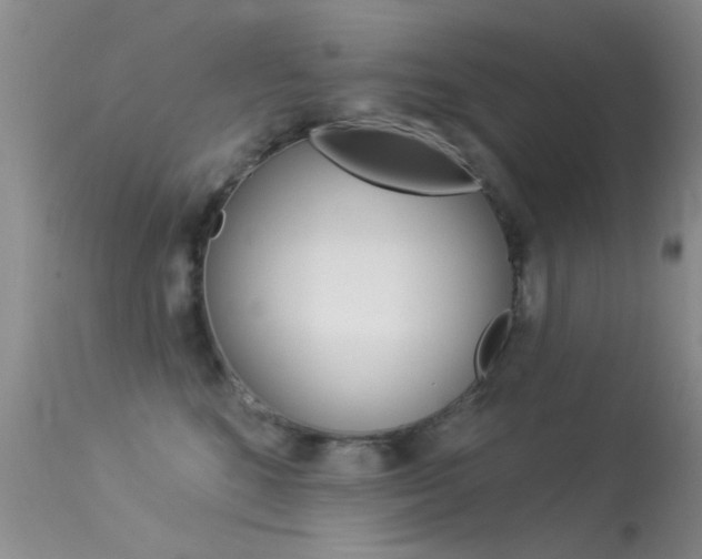 X0000113530520200909181003