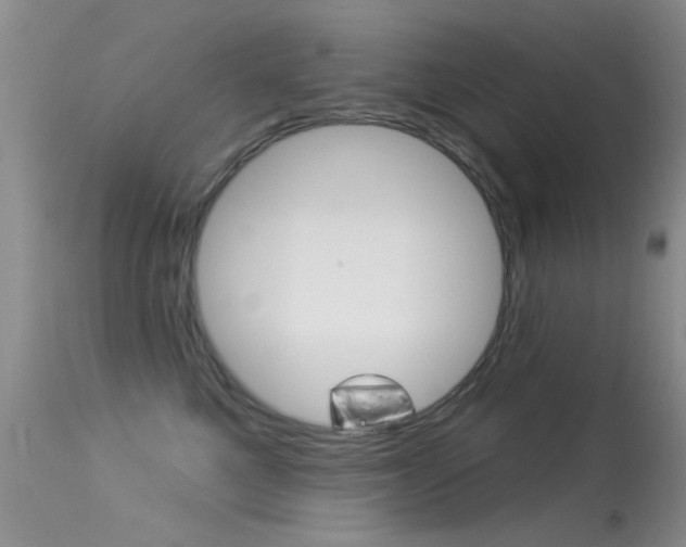 X0000113530521200909181003