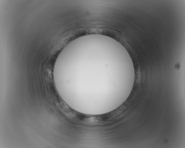 X0000113530522200909181003