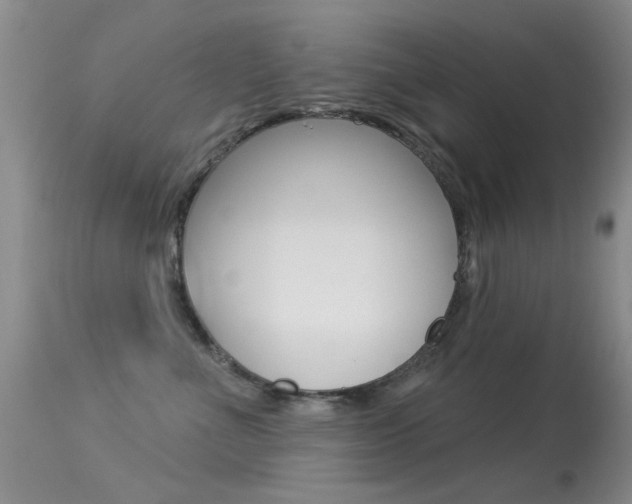X0000113530523200909181003