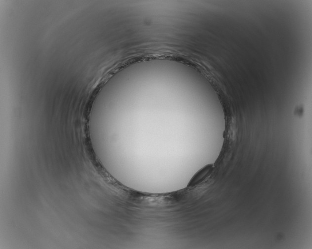 X0000113530524200909181003
