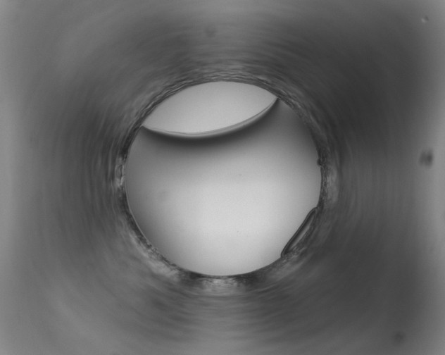 X0000113530525200909181003