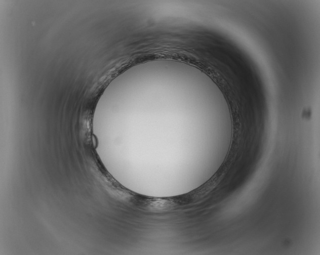 X0000113530527200909181003