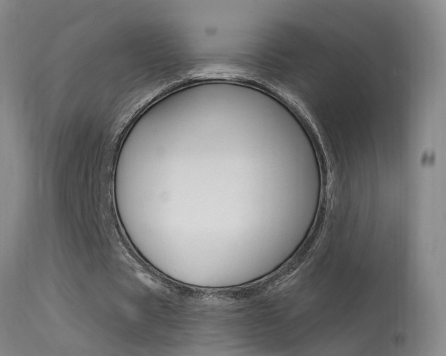 X0000113530529200909181002