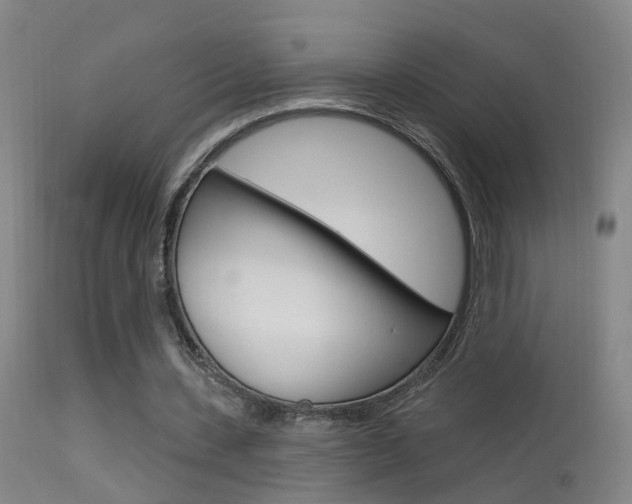 X0000113530531200909181002