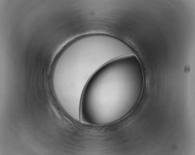 X0000113530532200909181002