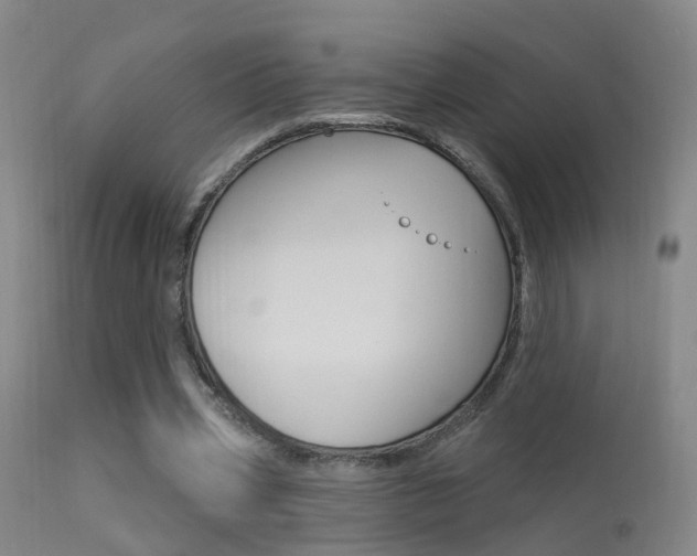 X0000113530533200909181002