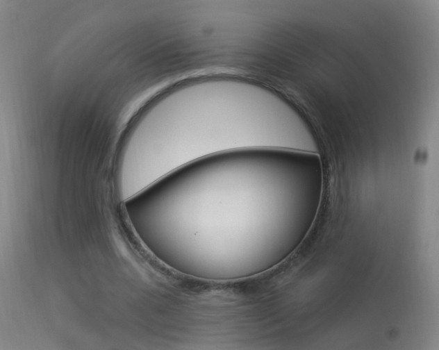 X0000113530536200909181002