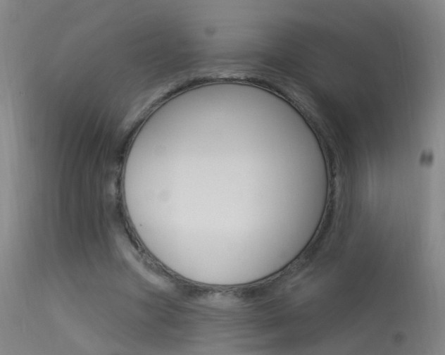 X0000113530537200909181002