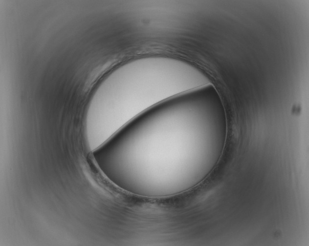 X0000113530538200909181002