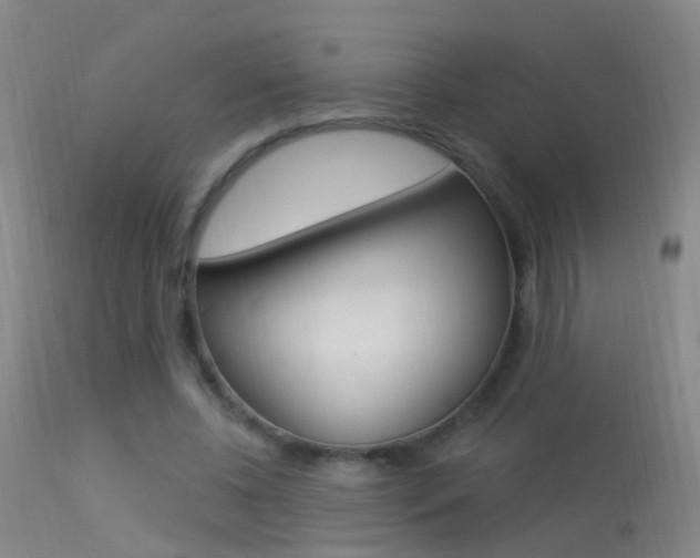X0000113530540200909181002