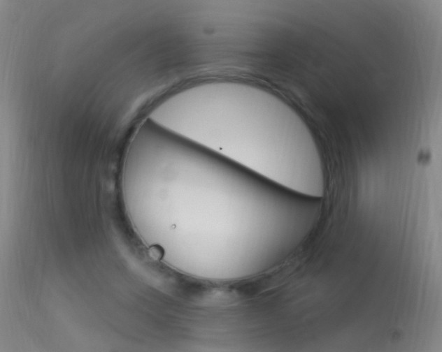 X0000113530543200909181002