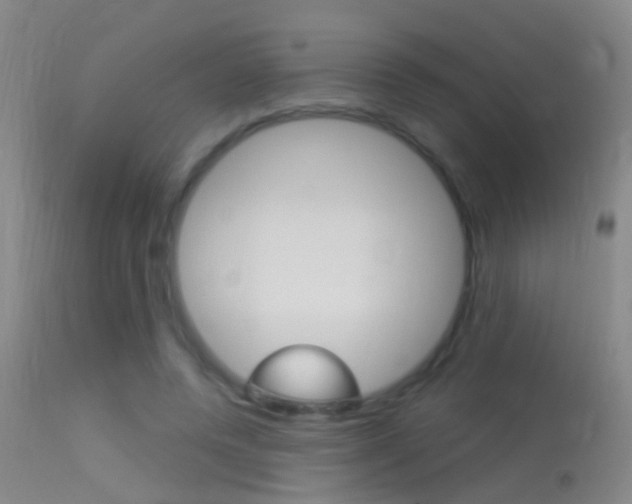 X0000113530544200909181002
